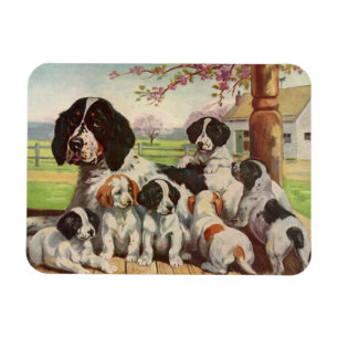 Magnet Flexible Anglais Springer Spaniel maman et chiots
