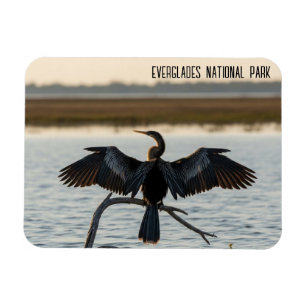 Magnet Flexible Anhinga du parc national des Everglades