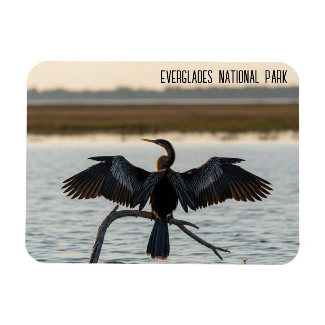 Magnet Flexible Anhinga du parc national des Everglades (Horizontal)