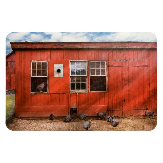 Magnet Flexible Animal - Oiseau - Observation des oiseaux (Horizontal)