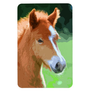 Magnet Flexible AnimalMix_Horse_013