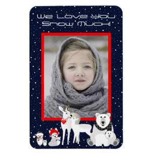 Magnet Flexible Animaux arctiques