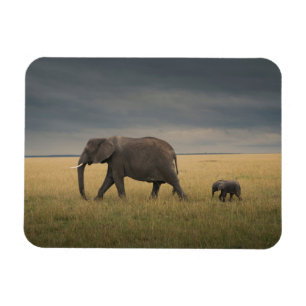 Magnet Flexible Animaux de bébés cutest   African Elephant Family