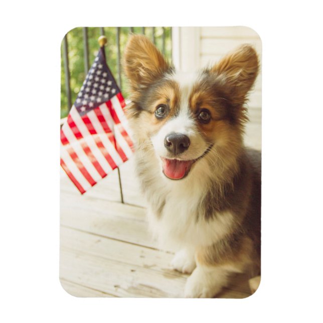 Magnet Flexible Animaux de bébés cutest | American Flag Corgi (Vertical)