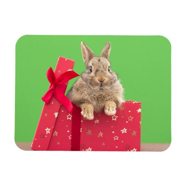 Magnet Flexible Animaux de bébés cutest | Bunny vacances de Noël (Horizontal)