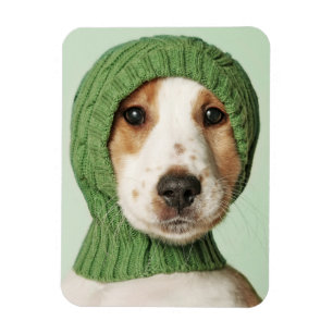 Magnet Flexible Animaux de bébés cutest   Cocker Spaniel