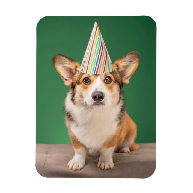 Magnet Flexible Animaux de bébés cutest | Corgi Anniversaire Chiot (Vertical)