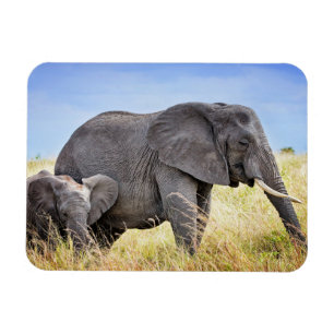 Magnet Flexible Animaux de bébés cutest   Eléphant africain et mèr