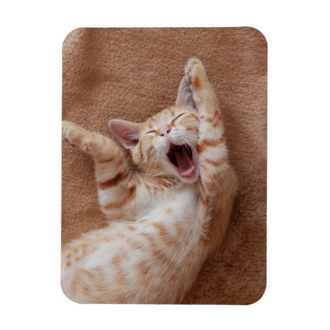 Magnet Flexible Animaux de bébés cutest | Ginger Kitten Yawning (Vertical)