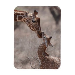 Magnet Flexible Animaux de bébés cutest Giraffe mère et bébé
