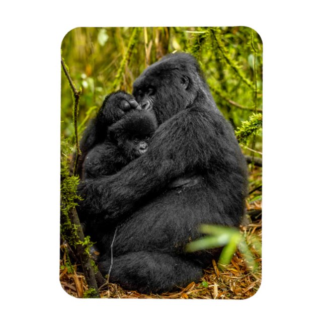 Magnet Flexible Animaux de bébés cutest | Gorilla & bébé (Vertical)