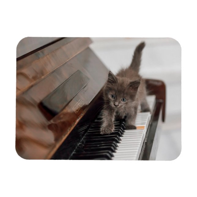 Magnet Flexible Animaux de bébés cutest | Kitten sur piano (Horizontal)