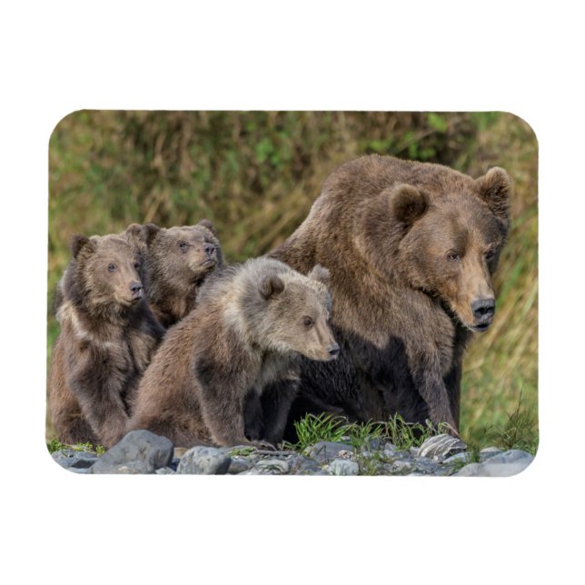 Magnet Flexible Animaux de bébés cutest | Kodiak Mama Bear & Cubs (Horizontal)