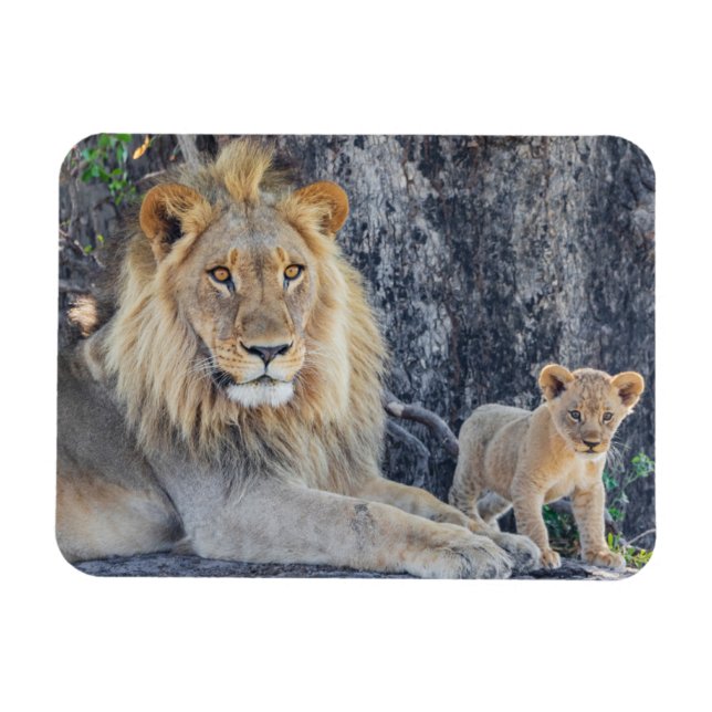 Magnet Flexible Animaux de bébés cutest | Lion Dad & Cub (Horizontal)