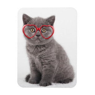 Magnet Flexible Animaux de bébés cutest   Lunettes cardiaques de c
