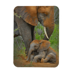 Magnet Flexible Animaux de bébés cutest   Mama Elephant & Baby