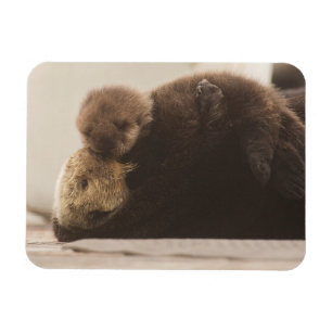 Magnet Flexible Animaux de bébés cutest Pompe Otter nouveau-né
