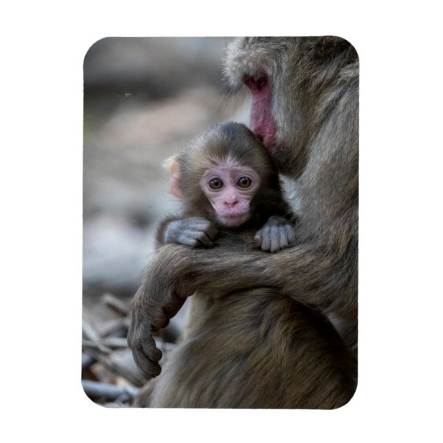 Magnet Flexible Animaux de bébés cutest | Singe et bébé japonais (Vertical)