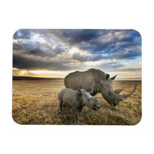 Magnet Flexible Animaux de bébés cutest White Rhino & Calf