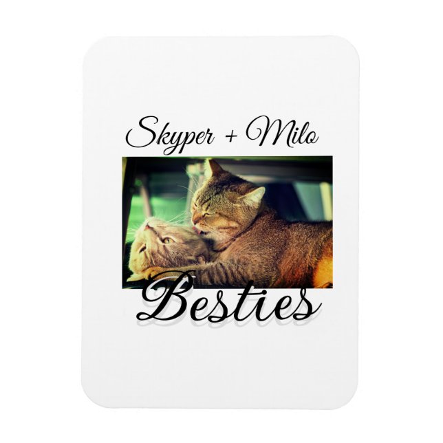 Magnet Flexible Animaux de compagnie amis besties ajouter nom anim (Vertical)