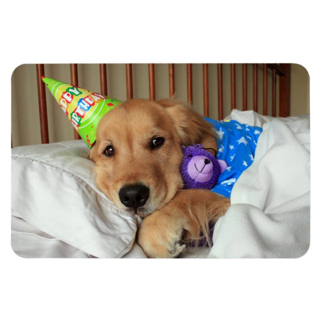 Magnet Flexible Anniversaire du Golden Retriever (Horizontal)