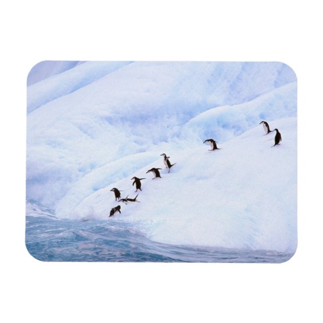Magnet Flexible Antarctique, péninsule Antarctique. Gorget (Horizontal)
