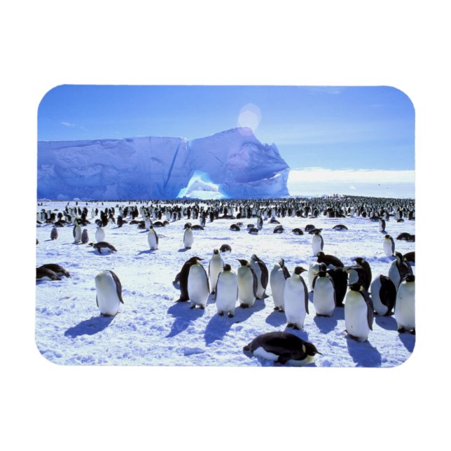 Magnet Flexible Antarctique, péninsule Antarctique, mer de Weddell (Horizontal)