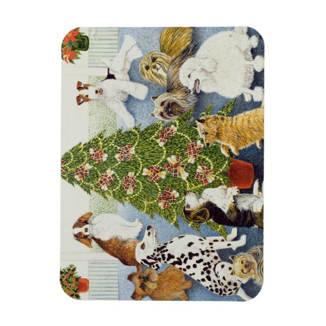 Magnet Flexible Anticipation (Vertical)