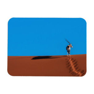 Magnet Flexible Antilope d'oryx au désert de Namib