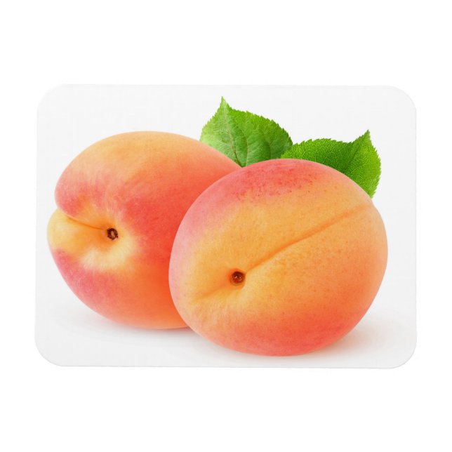 Magnet Flexible Apricots frais (Horizontal)