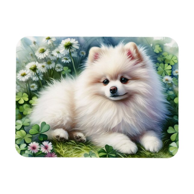Magnet Flexible Aquarelle blanche Poméranie Chien Clover flexible (Horizontal)