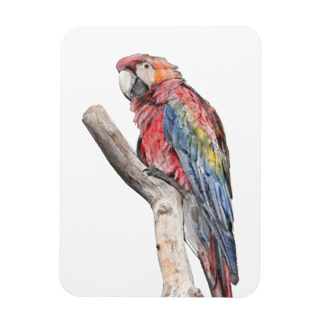 Magnet Flexible Aquarelle colorée de perroquet macaw (Vertical)