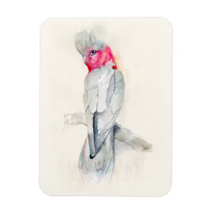 Magnet Flexible Aquarelle de Cockatoo