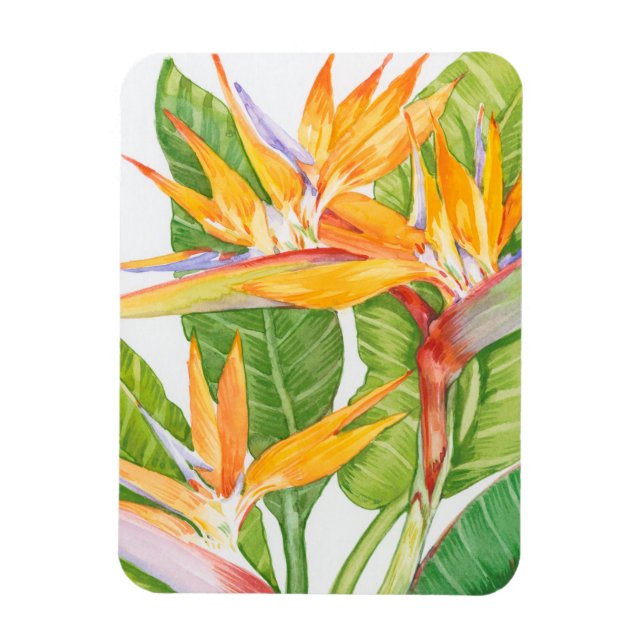 Magnet Flexible Aquarelle de fleurs exotiques (Vertical)