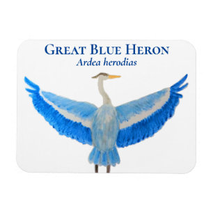 Magnet Flexible Aquarelle d'oiseau scientifique Grand Héron bleu