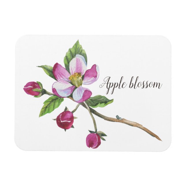 Magnet Flexible Aquarelle Fleur de Pommier Botanique (Horizontal)