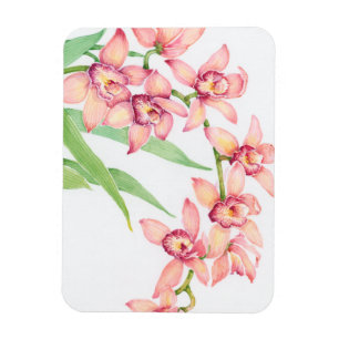 Magnet Flexible Aquarelle Fleurs roses