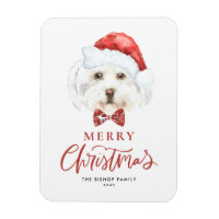 Aquarelle Maltese à Santa Hat Joyeux Noël