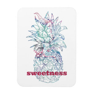 Magnet Flexible Aquarelle rose et bleu doux Ananas