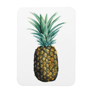 Magnet Flexible Aquarelle tropicale d'ananas