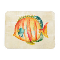 Aquarium coloré Poisson