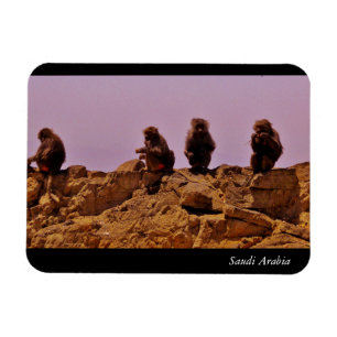 Magnet Flexible Arabie saoudite