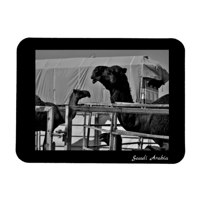 Magnet Flexible Arabie saoudite (Horizontal)