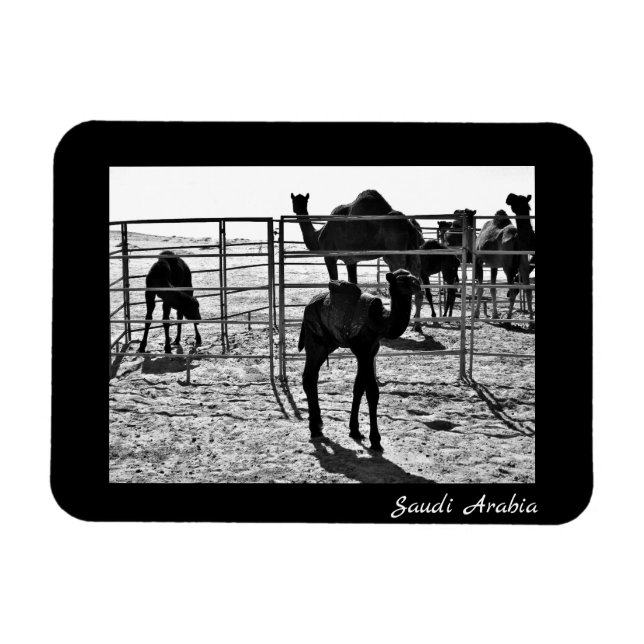 Magnet Flexible Arabie saoudite (Horizontal)