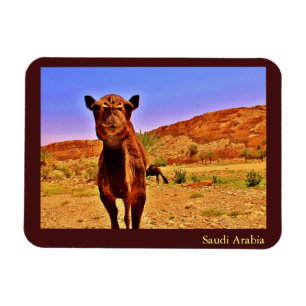 Magnet Flexible Arabie saoudite