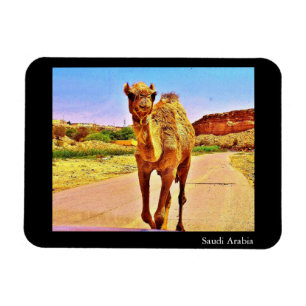 Magnet Flexible Arabie saoudite
