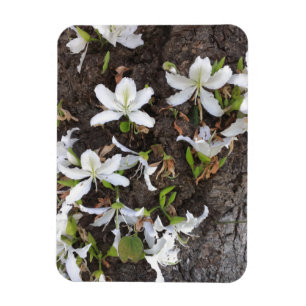Magnet Flexible Arbre