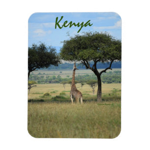 Magnet Flexible Arbre à la Girafe au Kenya