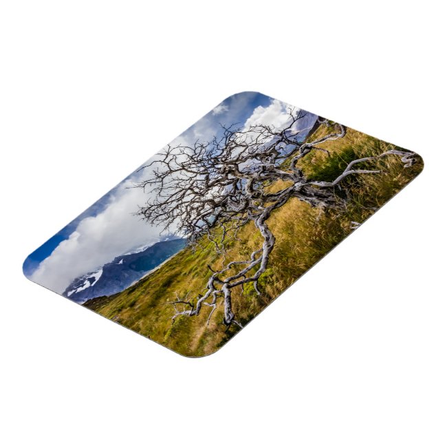 Magnet Flexible Arbre brûlé, Torres del Paine, Chili (Côté Gauche)