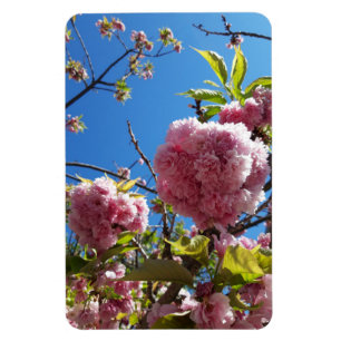 Magnet Flexible Arbre en fleurs rose cerise sauvage